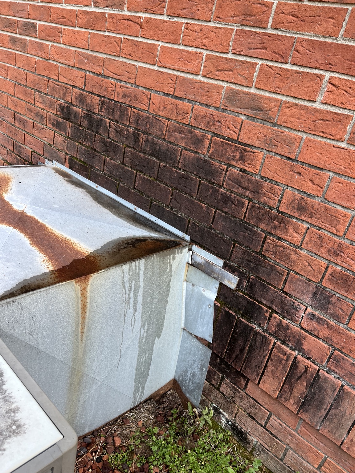 Brick wall before cleaning